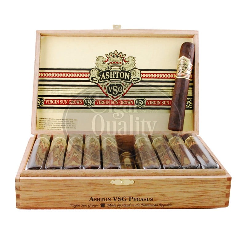 Ashton VSG Pegasus 01