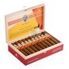 AVO Syncro fogata robusto cello 20 cigares