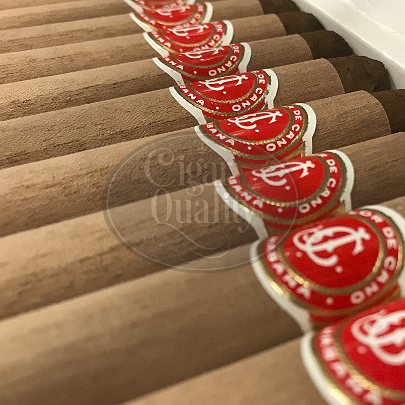 La Flor De Cano Petit Coronas 25 03