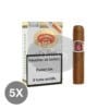 Hoyo de Monterrey Petit Robusto 5x3 01