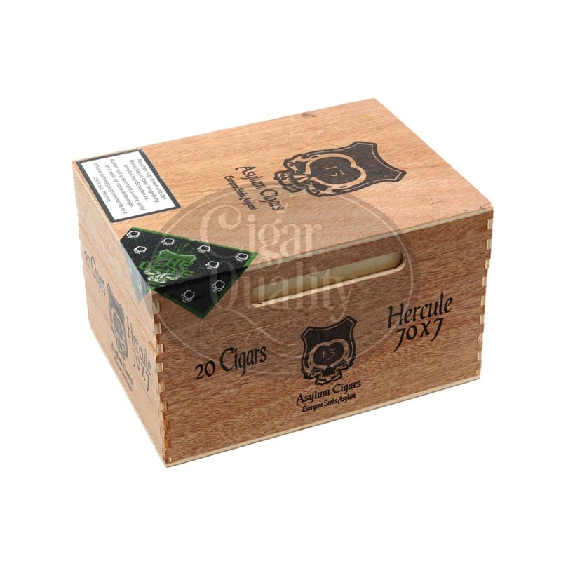 20220511101905 asylum 13 ogre hercule 20 02 br backup.jpg