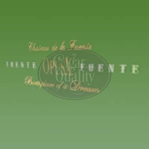 fuente fuente opus x 2020 sol damor 07 br backup.jpg