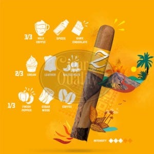 Zino Nicaragua 00 br backup