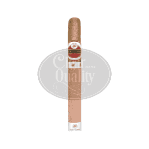 20220726105116 flor de copan churchill 203.png