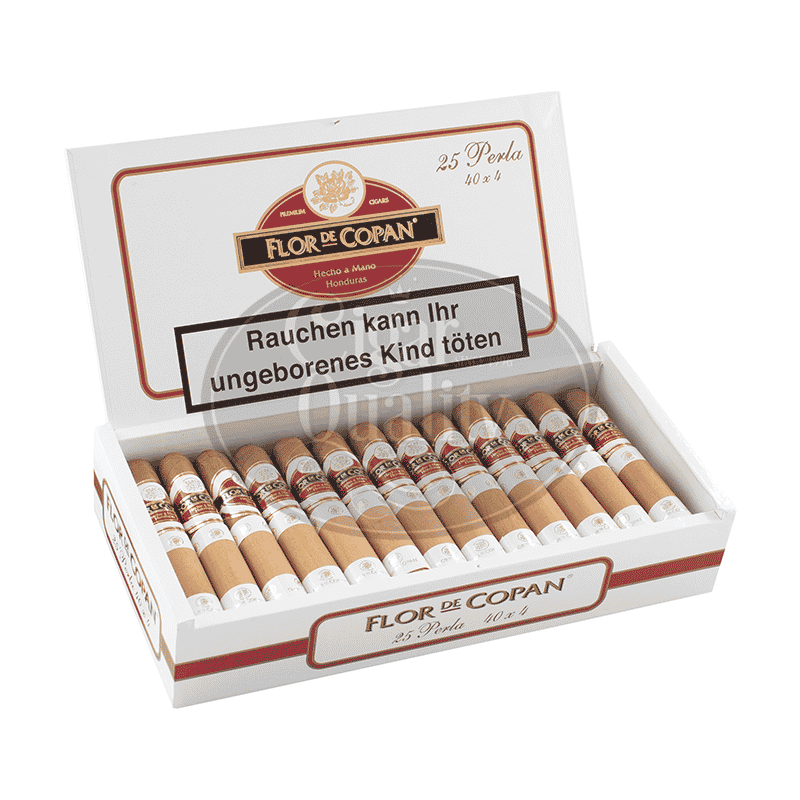 20220727034336 flor de copan perla 252.png