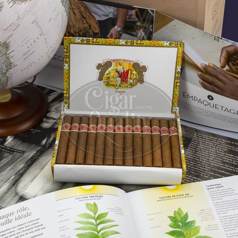 romeo y julieta regalias de londres (25)