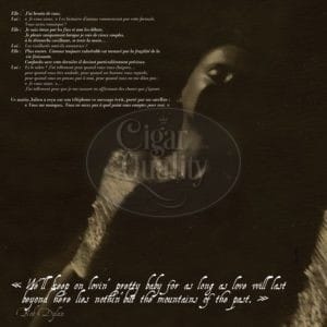 page 008 br backup.jpg