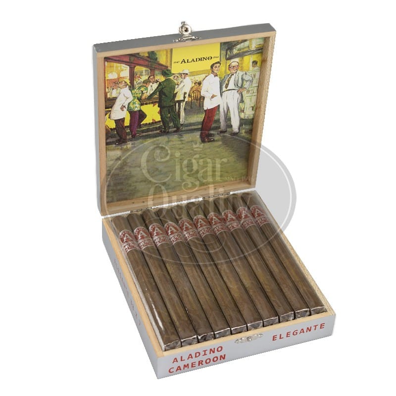 20221205095545 aladino cameroon elegante 20 2.jpg