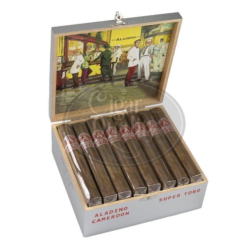 aladino cameroon toro (24)