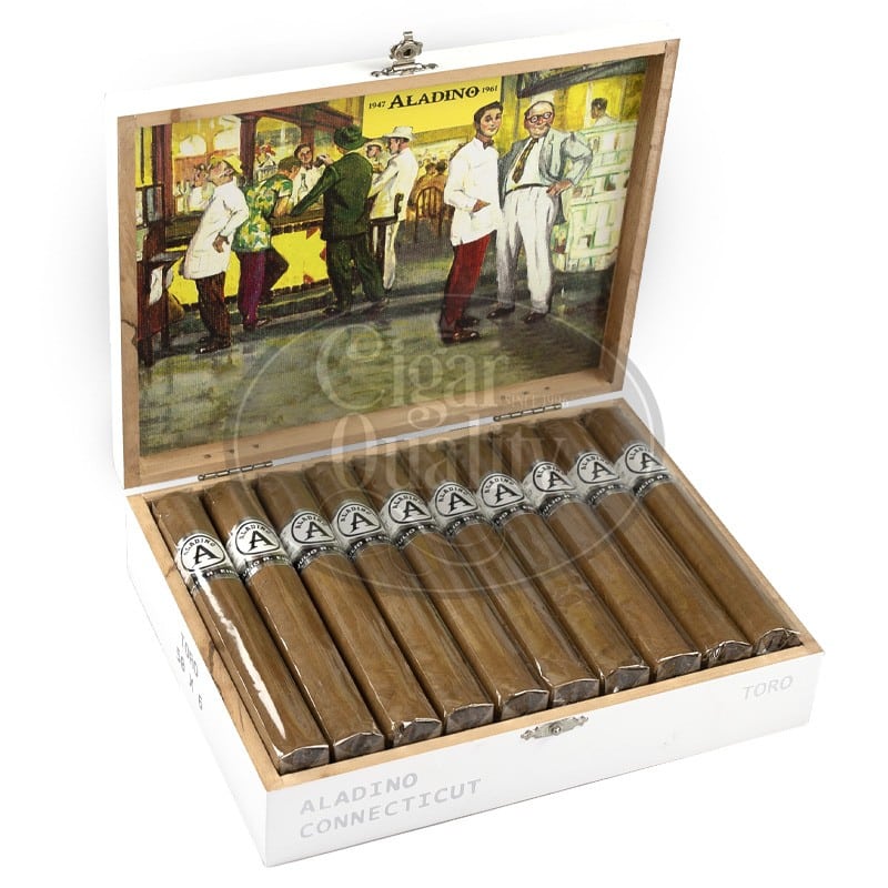 aladino connecticut toro (20)
