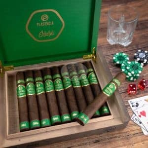 plasencia ehtefal (10)