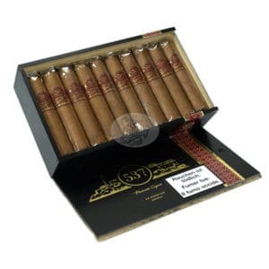 cigares 537 gorditos (20)