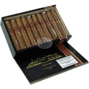 cigares 537 short canonazo (20)