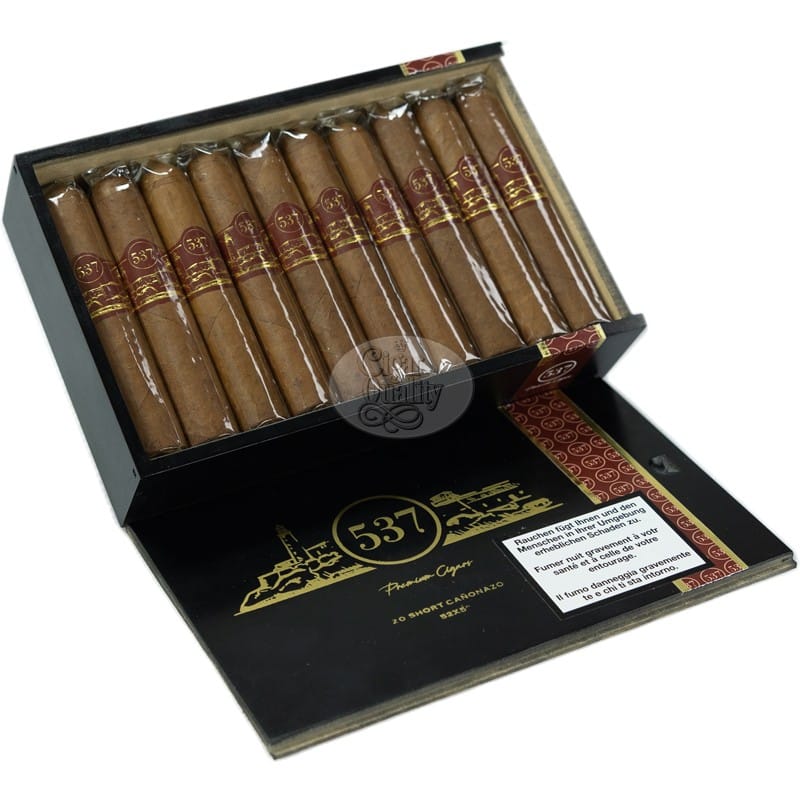 cigares 537 short canonazo (20)