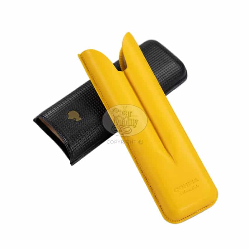 20230614111937 etui cohiba 2 br backup.jpg