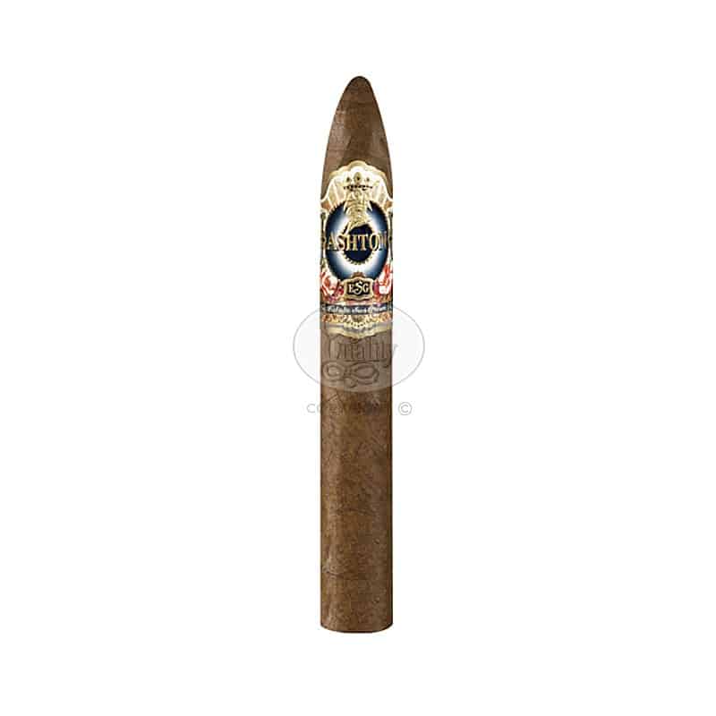 ashton esg 22 year salute figurado (25)