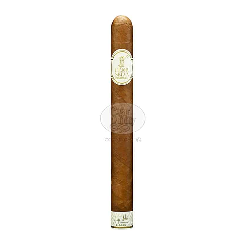 flor de selva churchill (25)