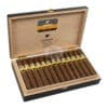 cohiba maduro genios 5 bn (25)