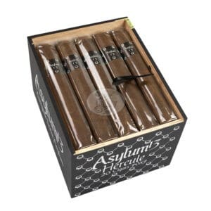 asylum 13 hercule (20)