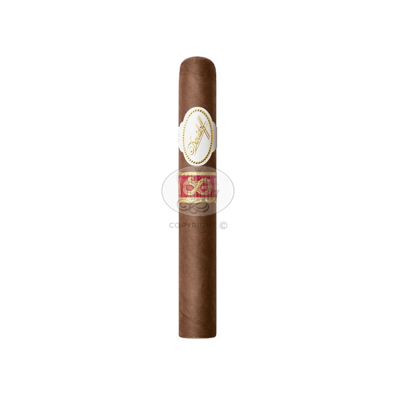 davidoff humidor masterpiece year of the snake (88)