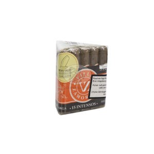 Villa Zamorano Intenso (15)