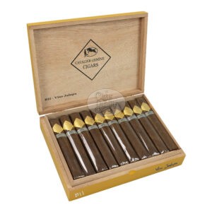 cavalier genève bii viso jalapa toro (20)