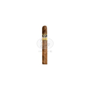 cohiba short humidor year of the snake (88)