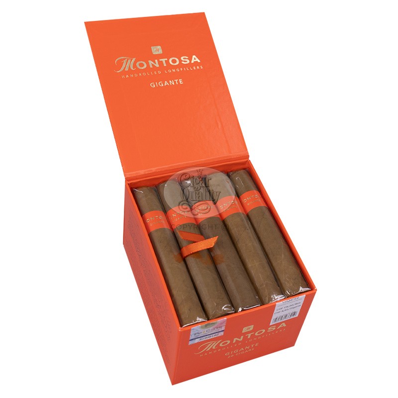 montosa gigante (20)