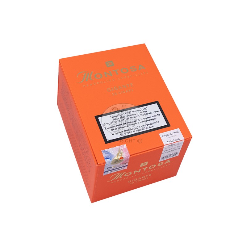 montosa gigante (20)