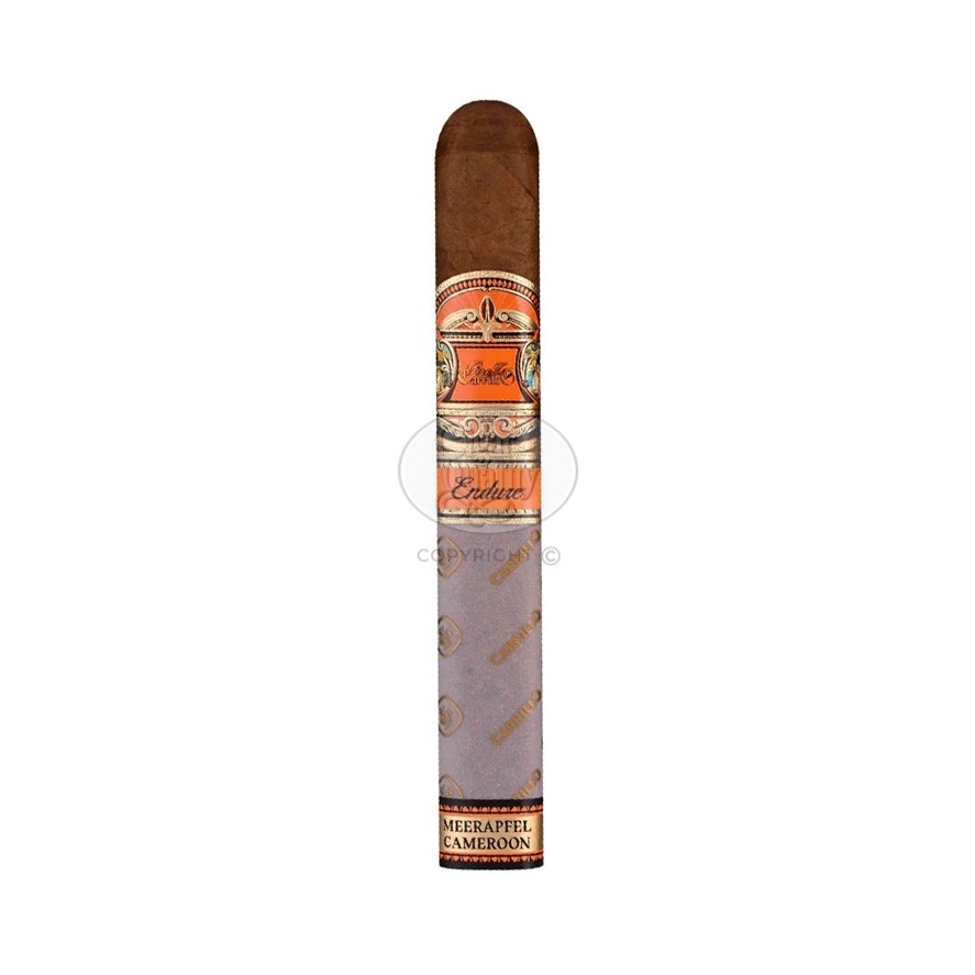E P Carrillo Endure Toro br backup jpg