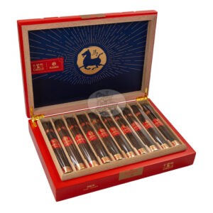 Plasencia Year of the Horse 2026 (10)