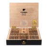 Cohiba Short Humidor Year of the Horse br backup jpg