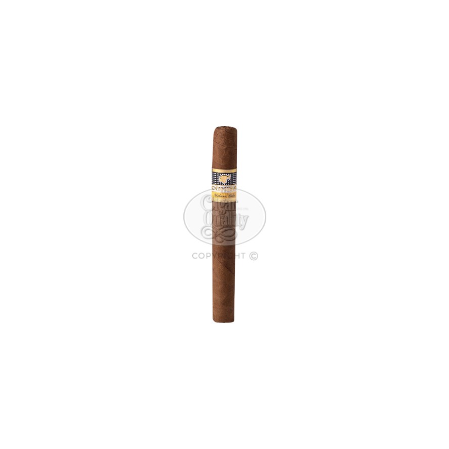 Cohiba Short Humidor Year of the Horse br backup jpg